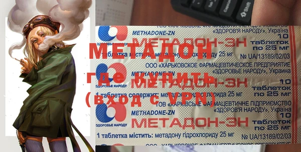 индика Алексин