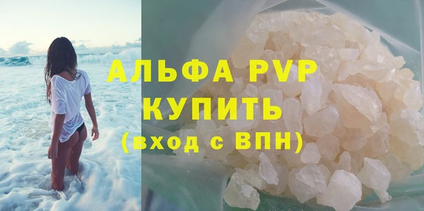 индика Алексин