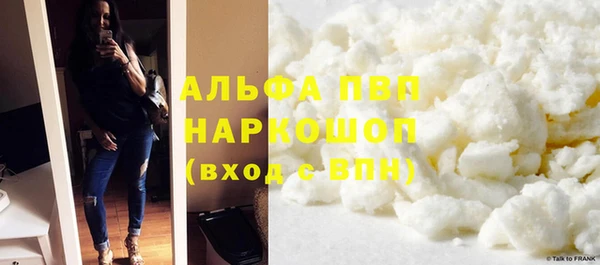 прущие грибы Абинск