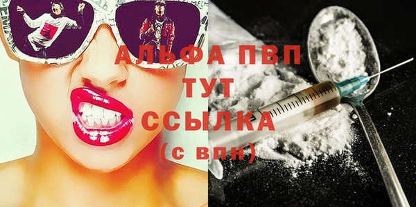 прущие грибы Абинск
