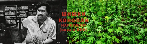 кокаин колумбия Алзамай