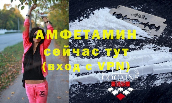 прущие грибы Абинск