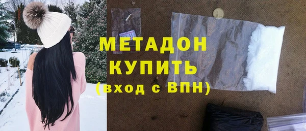 индика Алексин