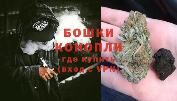 дживик Абаза