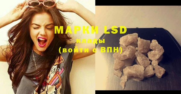 прущие грибы Абинск