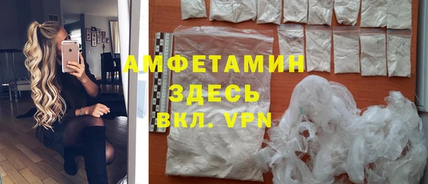 индика Алексин