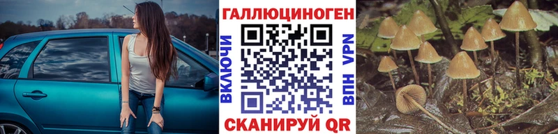 Псилоцибиновые грибы MAGIC MUSHROOMS закладки Волоколамск