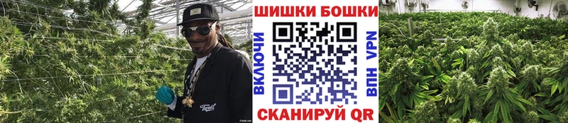 Бошки марихуана тримм  omg онион  Волоколамск 